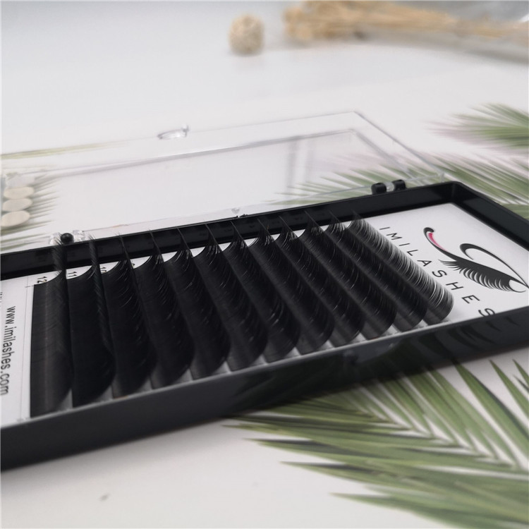 faux mink ellipse hd lashes.jpg